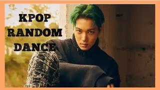 [MIRRORED] KPOP RANDOM DANCE #11