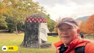 2026/1/12載孫阿泰上幼稚園後快閃《新店廣興河濱公園、故宮旁的原住民文化主題公園》賞落雨松趣～