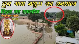 Mathura Mai Yamuna Ji Ka Jal Star Kitna Bada || मथुरा का समसान डूब गया || Yamuna flood || Yamunaji