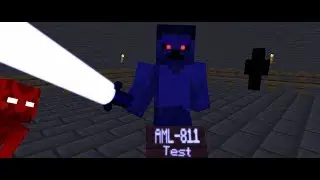 Anomaly 811 test