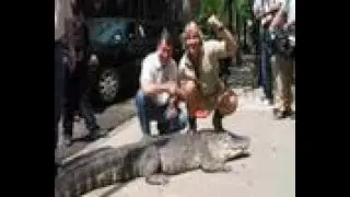 My Tribute to the Crocodile Hunter (R.I.P Steve Irwin) (LOST VIDEO 2006)
