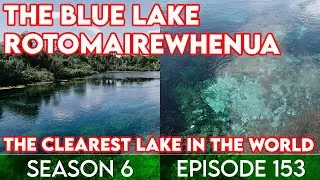 Visiting the clearest lake in the world- Rotomairewhenua !!!