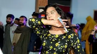 Mix - Dil Dhola  | dance party |  2026 ZS Studio