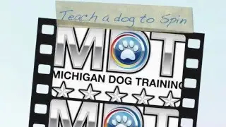 Teach a Dog to Spin