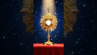 15 MINUTI CON GESU SACRAMENTATO - Abbandono e Vera Grazia: Il Fiat di Maria