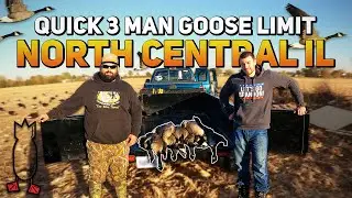 Quick 3 Man Goose Limit North Central Illinois [Divebombs]