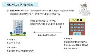 悪魔の錬金術【MSワラント】