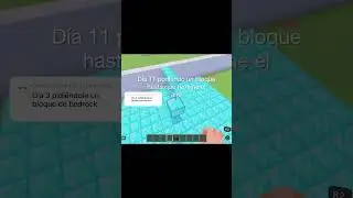 &ldquo;D&iacute;a 11/365 poniendo un bloque hasta que termine el a&ntilde;o&rdquo; #minecraft#shorts