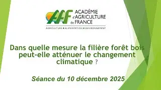 10/12/2025 : Dans quelle mesure la filière forêt bois peut-elle atténuer le changement climatique ?