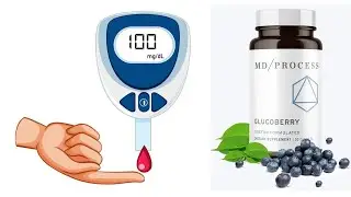 GlucoBerry EXPOSED The Shocking Truth About Blood Sugar Supplements