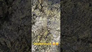Golden stone found under a tree in Nepal 😮😳