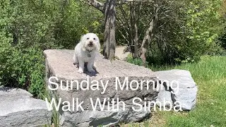 Beautiful Nature Trails | Sunny Day |Sunday Morning Walk with Simba