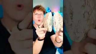I Cut Open a &ldquo;Dinosaur Egg&rdquo;