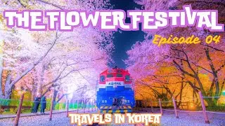 Suncheon The flower festival In South Korea  Travels in Korea  Episode 04
