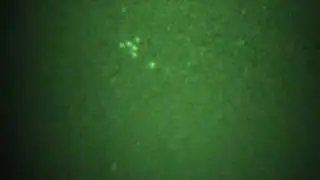 night vision / infrared ufo 002