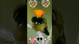 ٢٩ يناير ٢٠٢٦