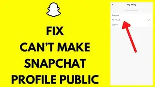 Can't Make A Public Profile On Snapchat (FIX!)