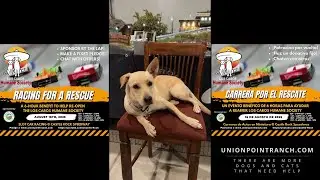 Racing for a Rescue: A Benefit for the Los Cabos Humane Society