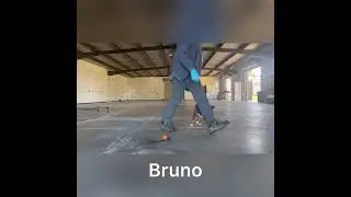 Bruno -15 ( Heel, sit, down, stay, recall, fetch , tricks and duration)