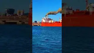 🚢🌫️ Las emisiones de los buques siguen aumentando en la Bah&iacute;a de Algeciras.