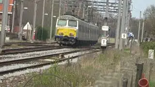 Diverse treinen te Station Essen