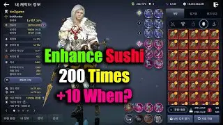 Black Desert Mobile Enhance Sushi 200 Times