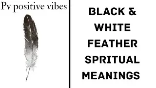 @PVPositiveVibes1111 Black & white feather 🪶 spiritual meaning 🧡✨🌸