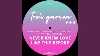 Never Knew Love Like This Before (Trois Garcon Mix)