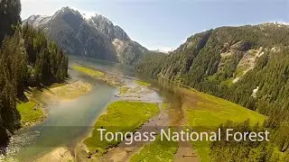 Spectacular Alaska Flightseeing Tour thru Misty Fjords National Monument