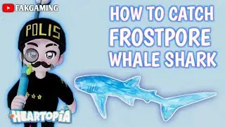 How to catch Frostpore Whale Shark | Heartopia #Heartopia #HeartopiaTips 