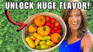 How to Harvest Tomatoes For The Best Flavor