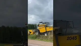 KAURAN PUINTI VIDEO JULKISENA!! K&auml;y kattomassa