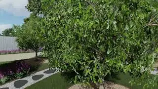 Stunning 3D Landscape Design Transformation of a South Australian Property
