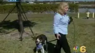Bark Busters Home Dog Training - Robin Edwards - Exercising with Your Dog
