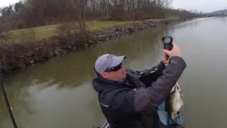 2021 Best Fish - Best Baits - PB Shoal Bass!!!