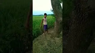 दर्द मिटा दी कल परशु के #status #youtube #explorer #airforce #kapil