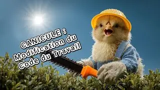 NOUVEAU DECRET CANICULE : MODIFICATION DU CODE DU TRAVAIL
