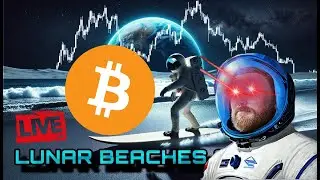 Bull Trap? | Bitcoin and Market Analysis