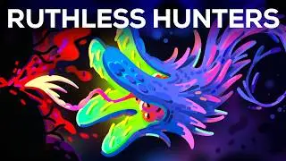 What’s It Like to Be Killed by Nature’s Most Brutal Predators
