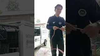 NUNGGU HUJAN,EH ADA PETUGAS MBG