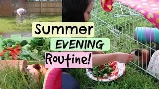 Guinea Pig Evening Routine On the Grass! | Hamster HorsesandCats