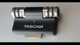 Портативный стереоконденсаторный микрофон Tascam iM2 (любительская тестовая аудиозапись без эффектов)