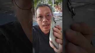 camera control ใน iphone 16 series