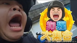 台灣道路版狗狗猩猩大冒險｜台灣行車影像合集｜2024 - 10月 - 3,4週 ｜(資訊欄有每一部的連結）