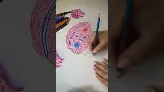 Stroke 🧠 #artist #sketch #medicine  #pen #stroke #drawing #medicineart #художник #саратов #инсульт
