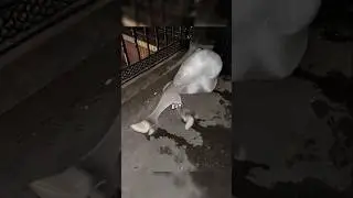 Редкие фотографии, которые вы никогда раньше не видели [Часть 421]