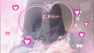  مع سلفتي جاب عنتر وفلقنا نصين