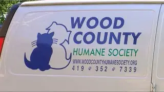 Wood County Humane Society under quarantine due to potential feline virus
