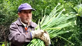 Amghid, Bouhou en mode agriculteur(1)