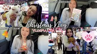День 16 Vlogmas! Мероприятие по усыновлению щенков, вкусные угощения, распаковка Labubu!